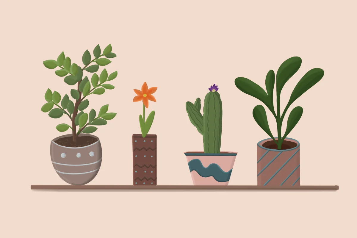 5 plantas fáciles de cuidar para sumar calma a tu casa aunque no tengas mano verde