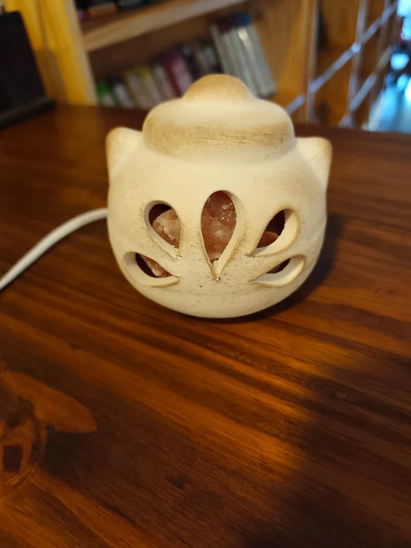Lámpara de Sal Flor B60