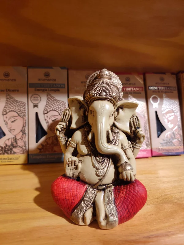 Ganesha Protección