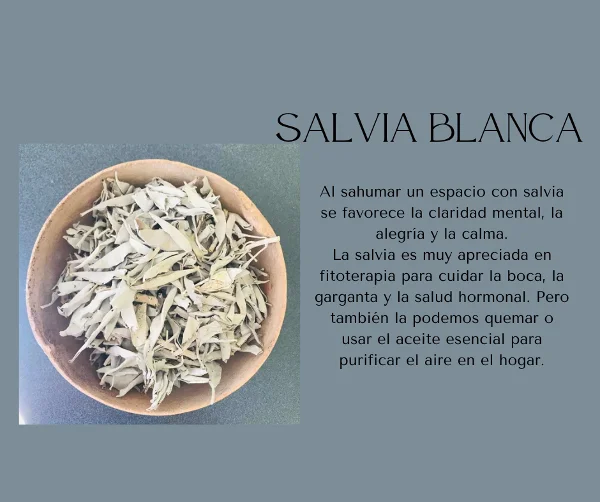 Hierba Salvia Blanca x 50gr
